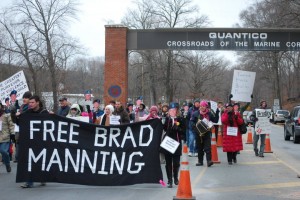 free-brad-lg